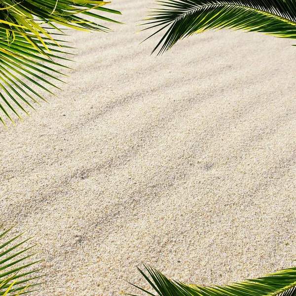 c7娱乐百家乐游戏